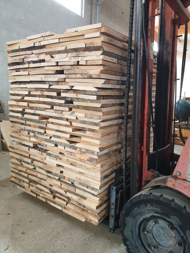 Faggio e Prismati Faggio