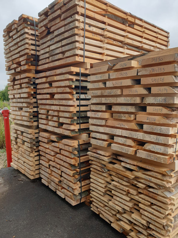 Faggio e Prismati Faggio