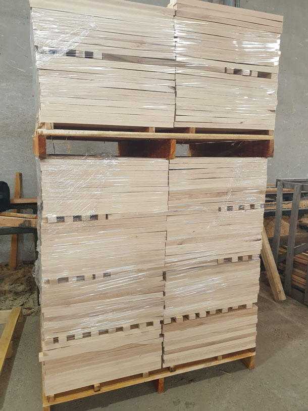 Faggio e Prismati Faggio