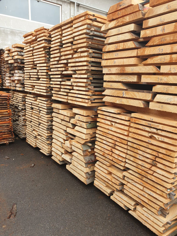 Faggio e Prismati Faggio